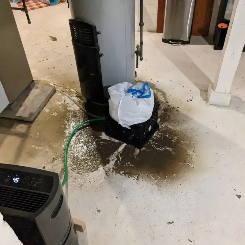Sewage Backup Cleanup Service in Shoreacres, TX